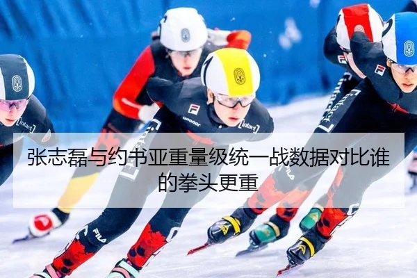 张志磊与约书亚重量级统一战数据对比谁的拳头更重