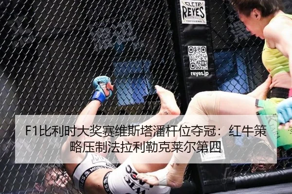 bi-li-shi-da-jiang-sai-wei-si-ta-pan-gan-wei-duo-guan-hong-niu-ce-lve-ya-zhi-fa-la-li-lei-ke-lai-er-di-si-2-491.jpg
